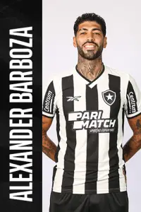 Elenco Profissional Do Botafogo Fogo Na Rede