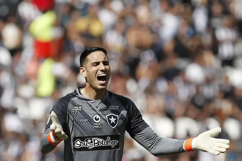 Gatito Botafogo Campeonato Brasileiro