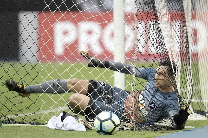 Gatito rivais Botafogo