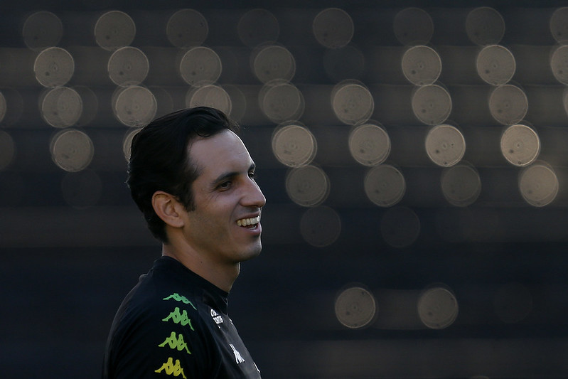 gatito botafogo brasileirão