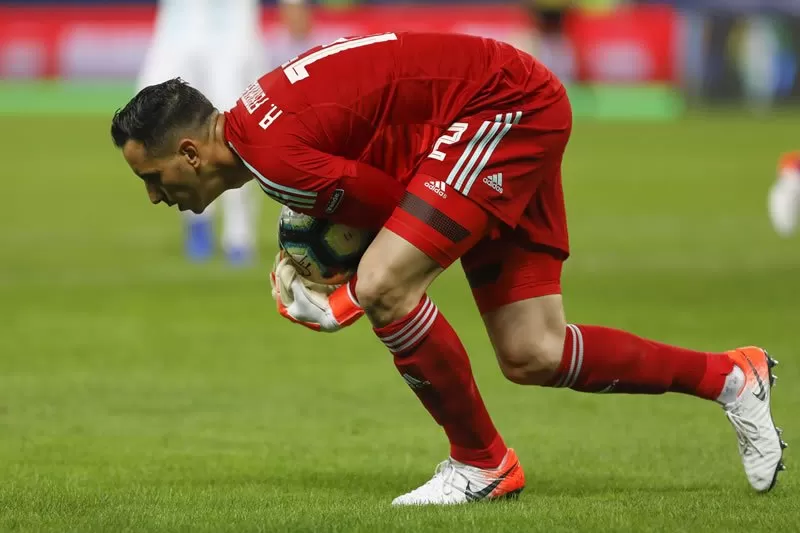 Gatito Botafogo Paraguai