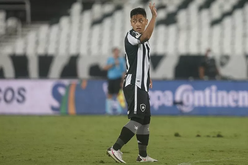 Botafogo Ceará Lecaros escalação