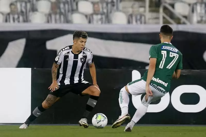 Botafogo Goiás Brasileiro