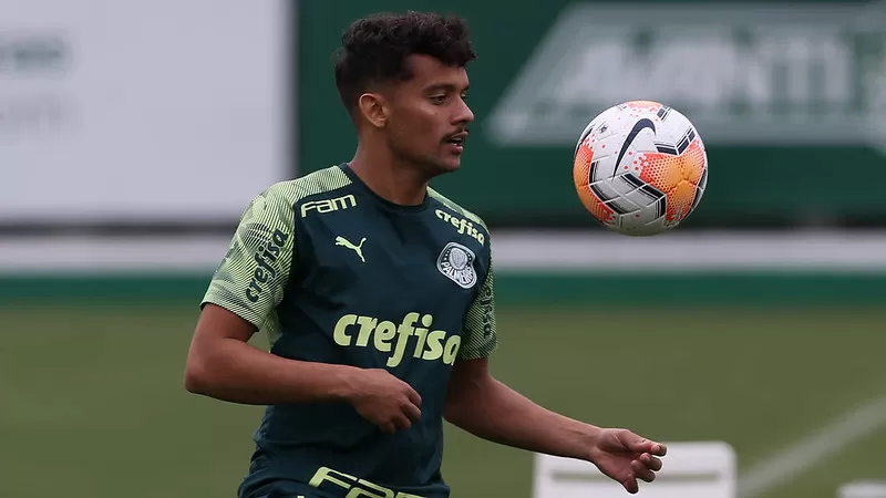 Botafogo Palmeiras Gustavo Scarpa