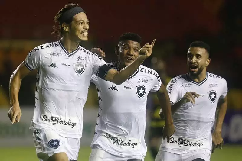 Botafogo Sport Brasileiro