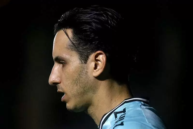 Gatito Botafogo exame