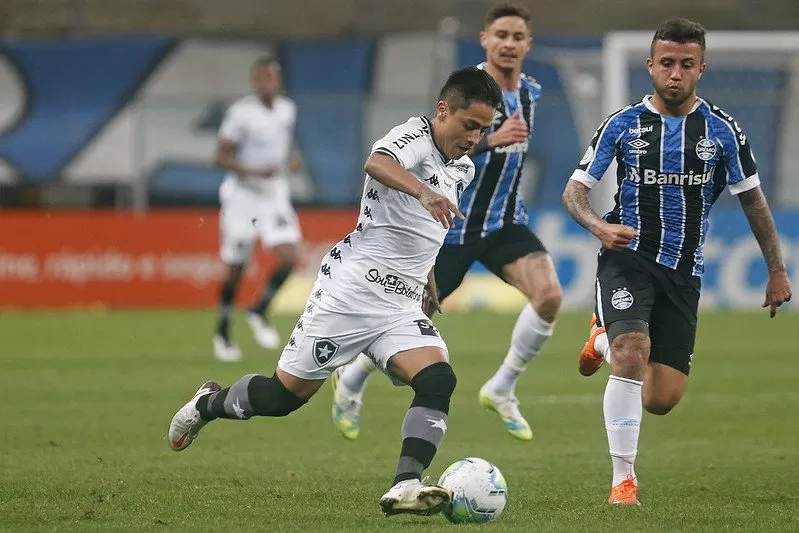 lecaros botafogo dívida