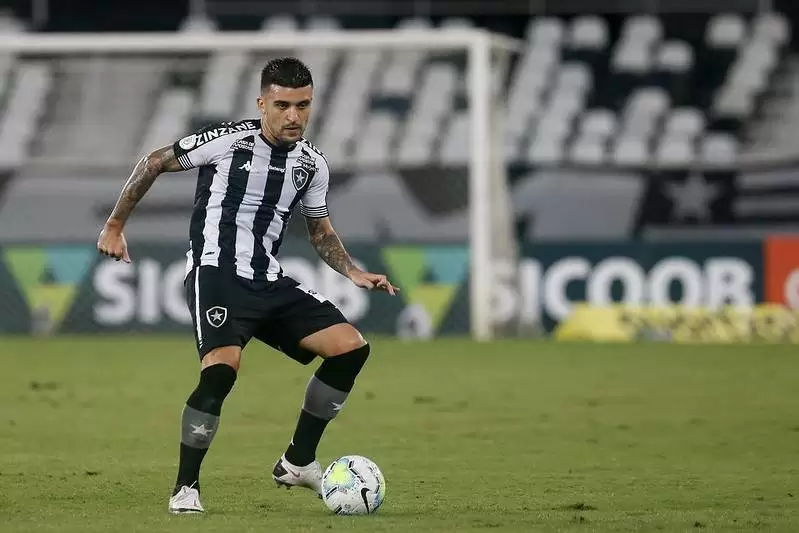 victor luis botafogo