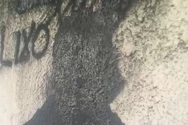 tulio lustosa muro botafogo