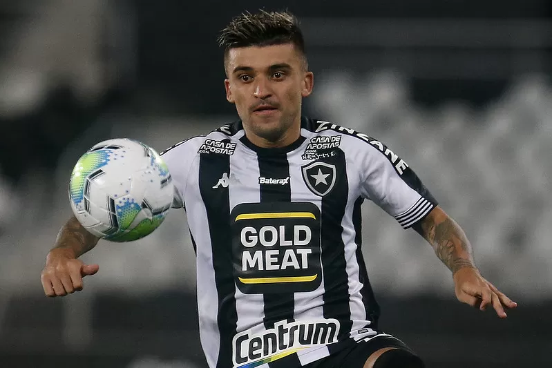 victor luis botafogo palmeiras