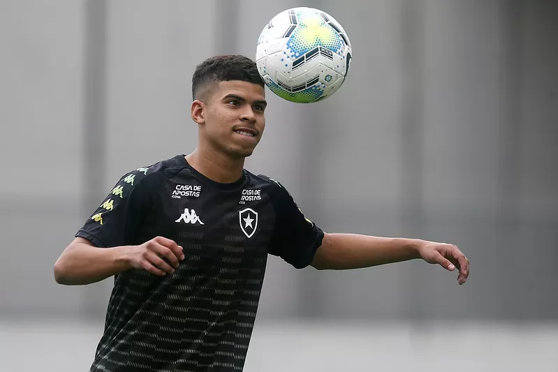 Botafogo Palmeiras Cesinha Escalação