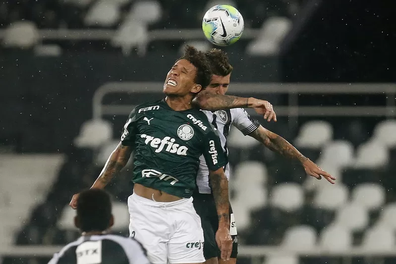 Botafogo Palmeiras