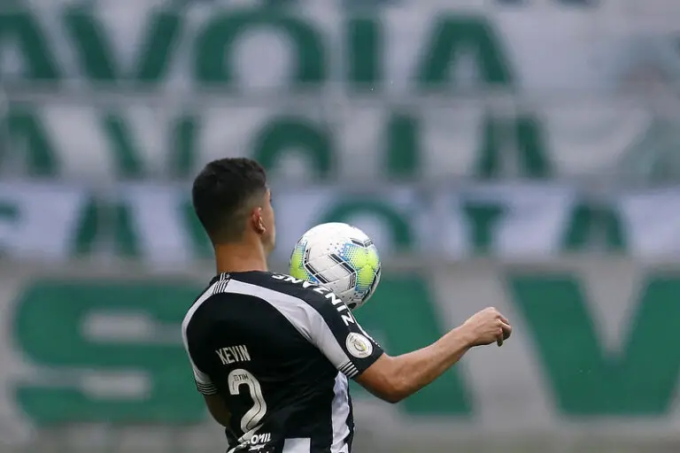 Kevin é destaque no empate do Botafogo contra Palmeiras ...
