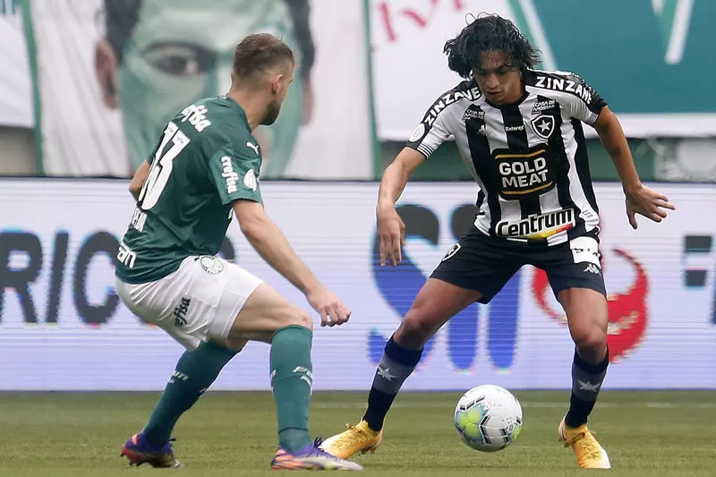 Palmeiras Botafogo Brasileiro