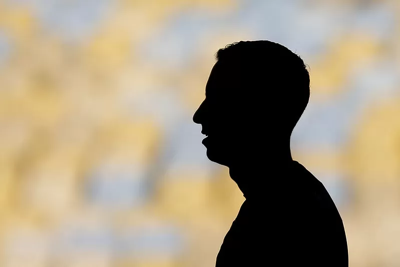 gatito botafogo montenegro