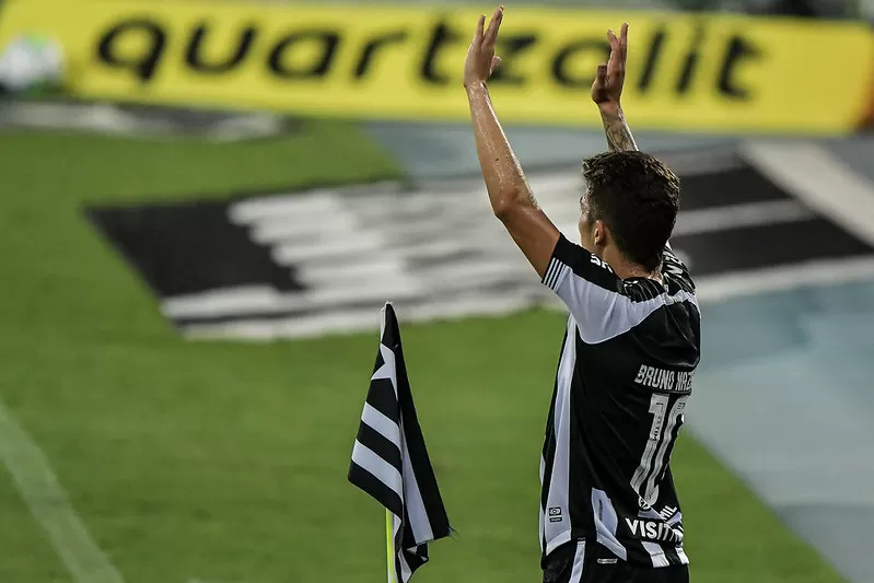 Botafogo Bruno Nazário América-MG