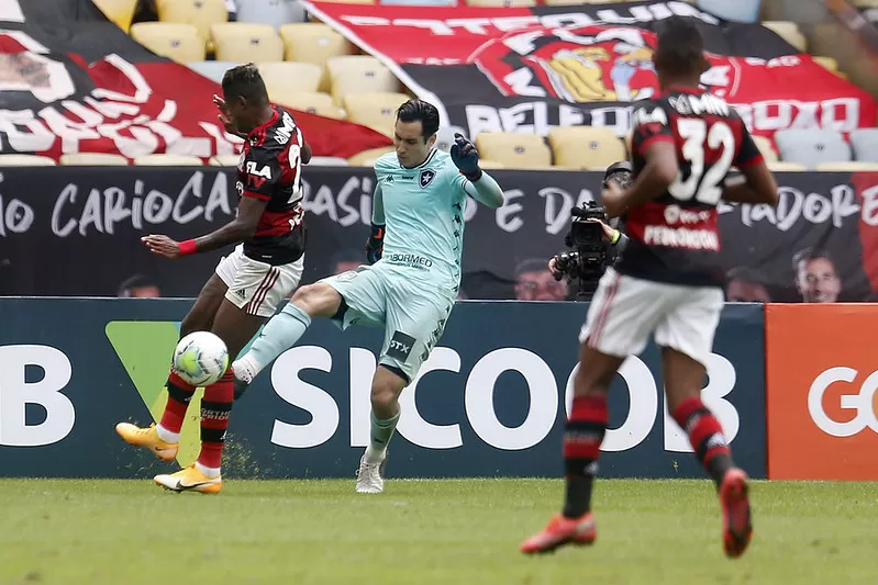 Gatito Botafogo Flamengo