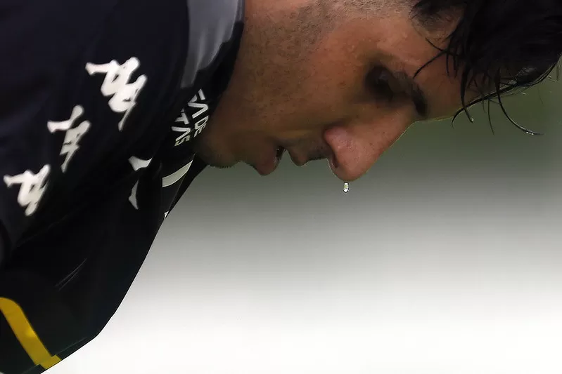 gatito botafogo flamengo