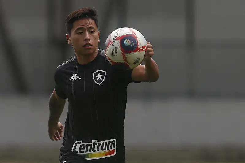 Botafogo Lecaros Avaí