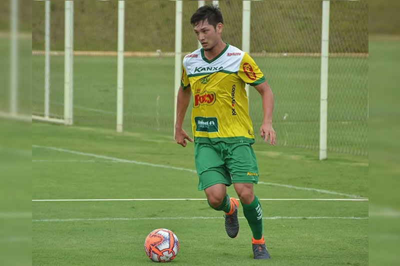 botafogo luís oyama