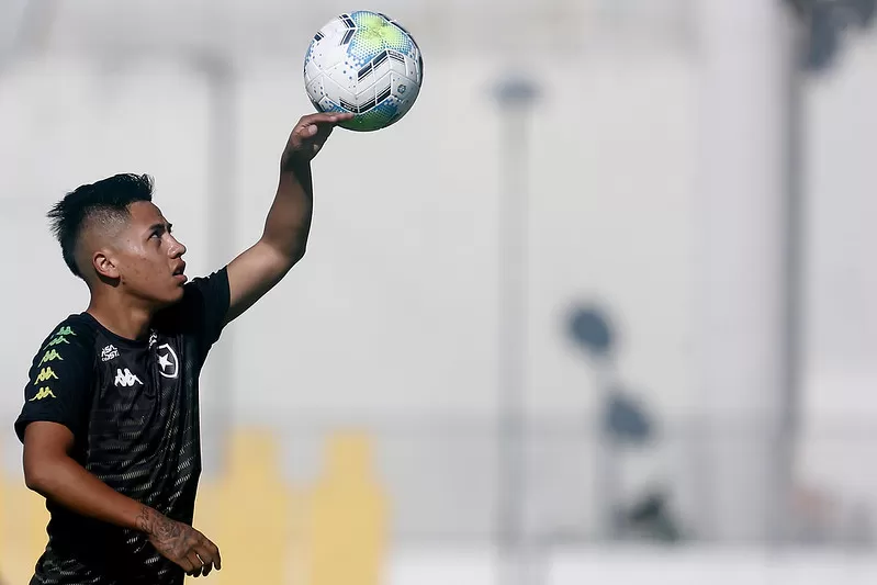 jogadores afastados botafogo