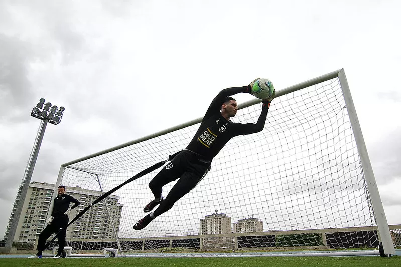renovação gatito botafogo