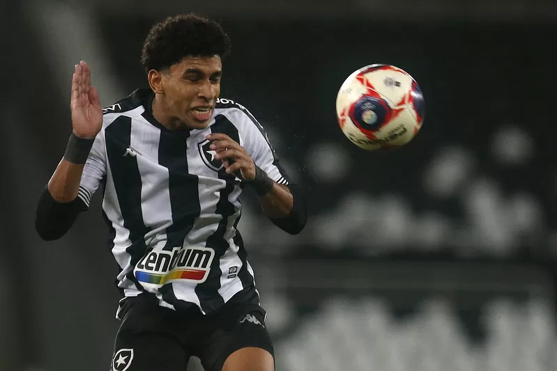 botafogo internacional pv