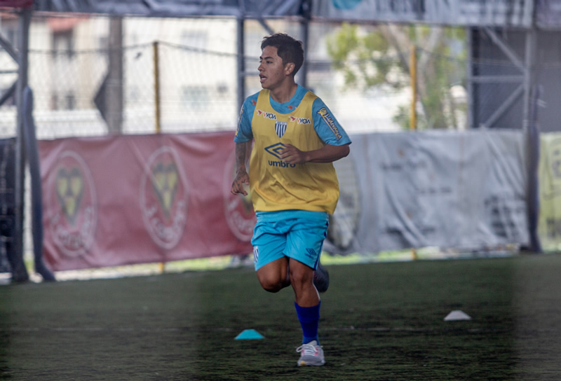 lecaros Avaí botafogo