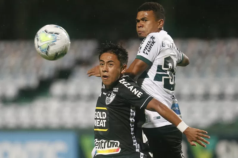 lecaros botafogo Avaí