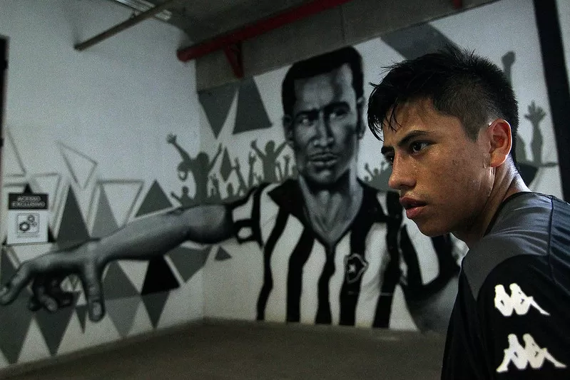 lecaros botafogo avaí