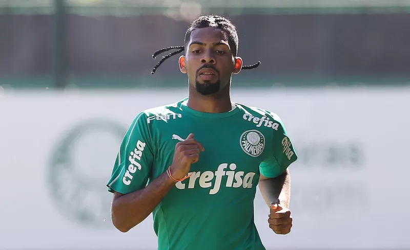 matheus fernandes botafogo palmeiras