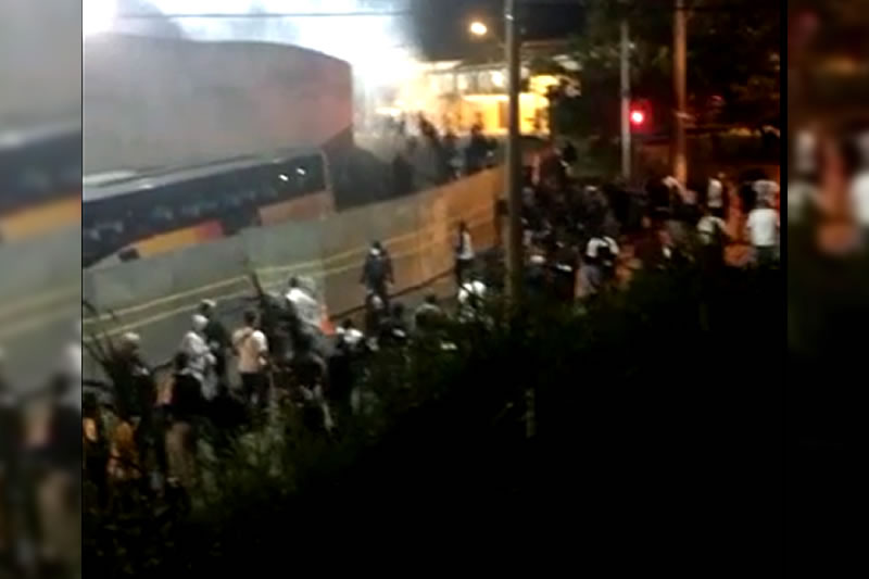 botafogo ponte preta - torcidas