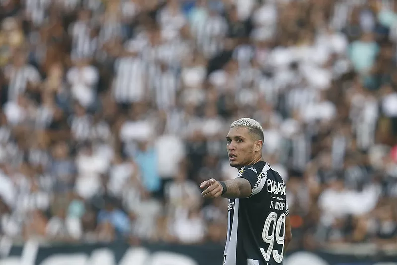 rafael navarro botafogo palmeiras
