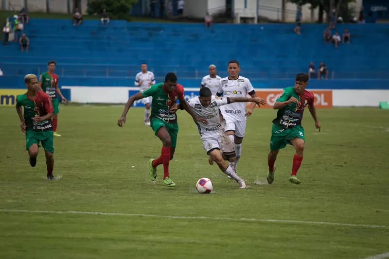 Botafogo Petrolina Copinha