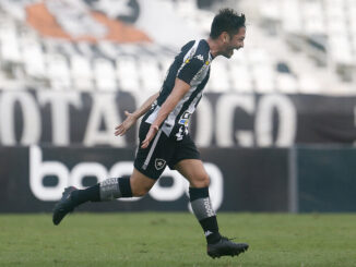 botafogo luis oyama
