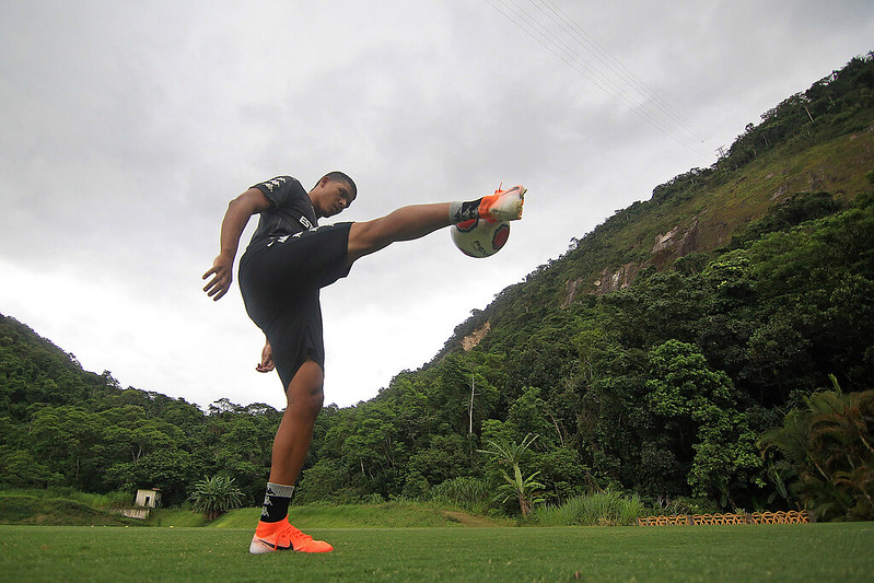 botafogo vinicius lopes