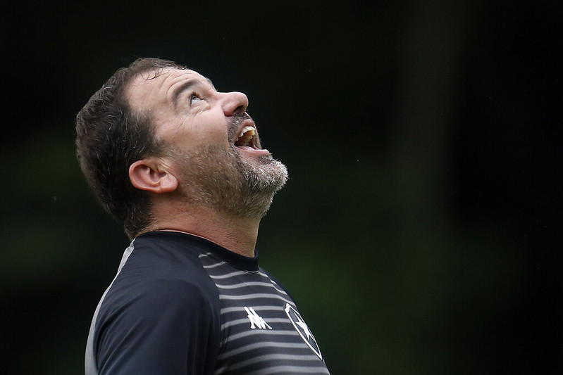 Botafogo Enderson Moreira aproveitamento