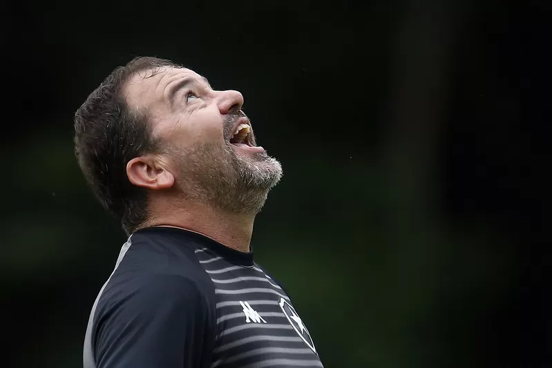 Botafogo Enderson Moreira aproveitamento