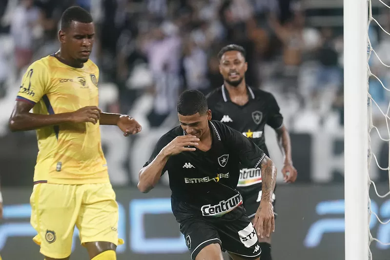 Raí Botafogo Seleção da Galera