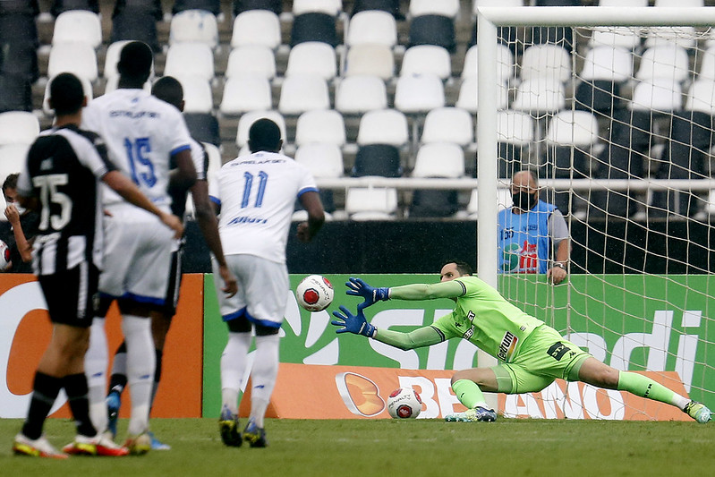 botafogo gatito carli