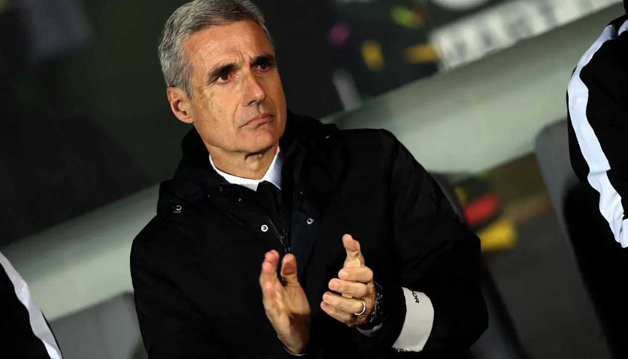 corinthians botafogo luis castro