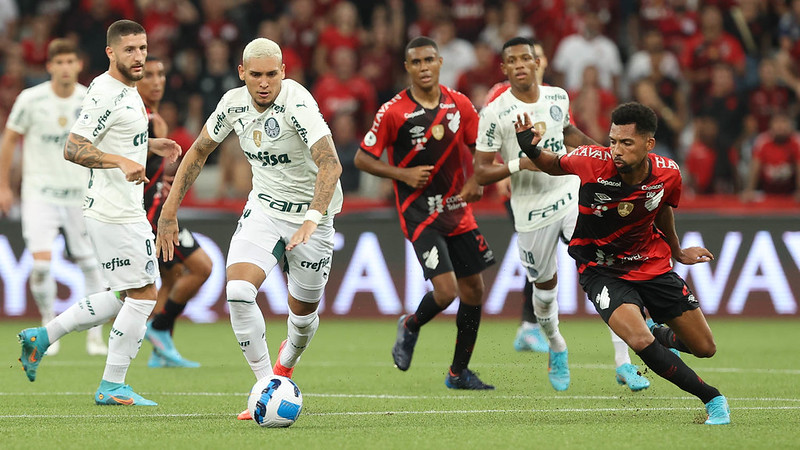 rafael navarro botafogo palmeiras