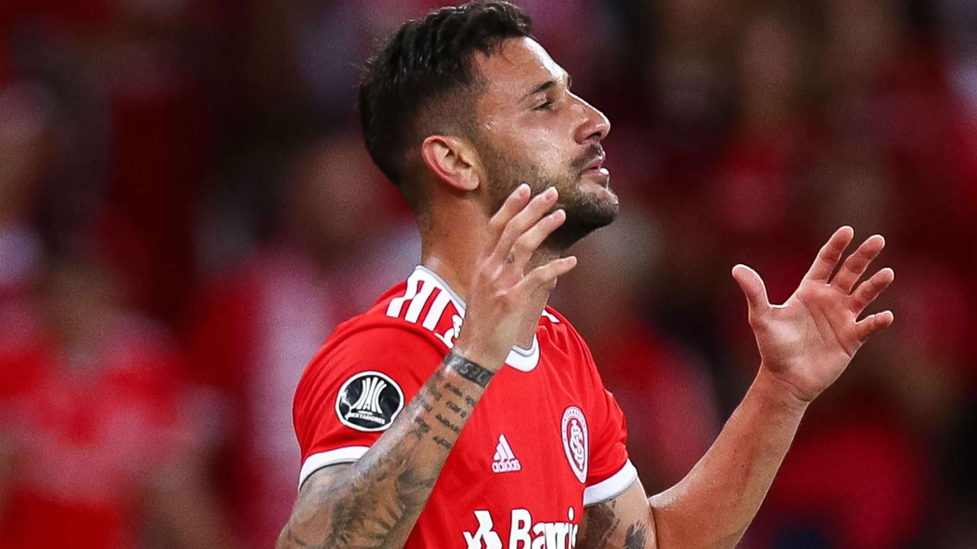 botafogo Boschilia internacional