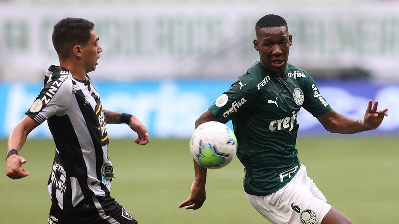 botafogo palmeiras patrick de paula