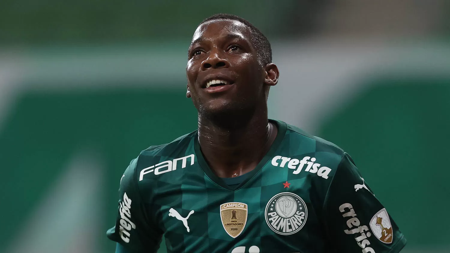 patrick de paula botafogo palmeiras