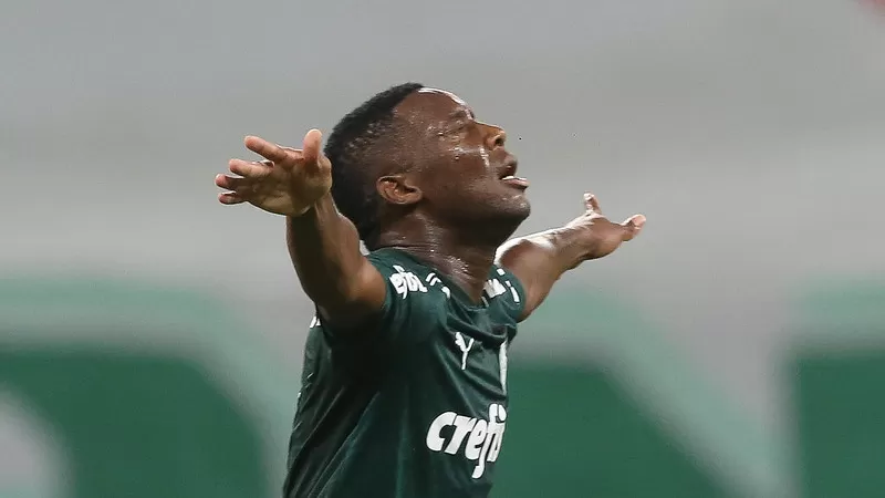 patrick de paula palmeiras botafogo