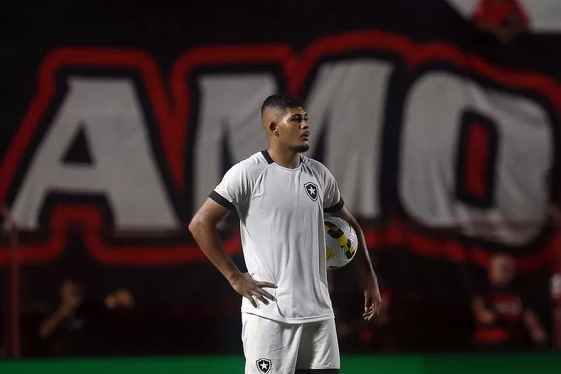 botafogo erison edmundo