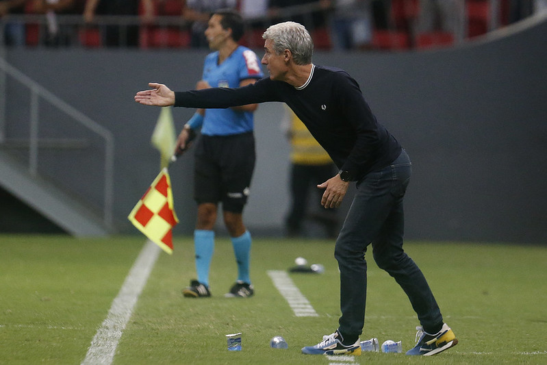 botafogo luis castro