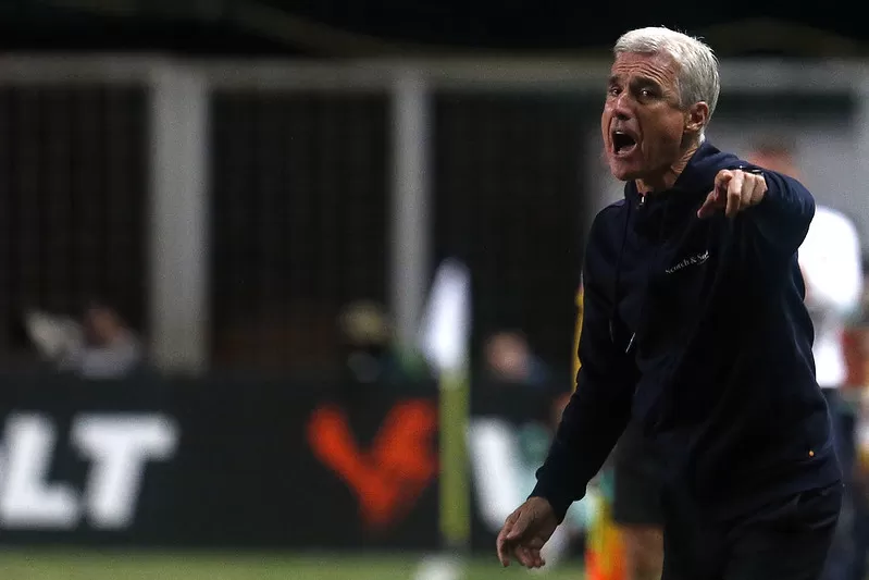 botafogo america-mg luis castro