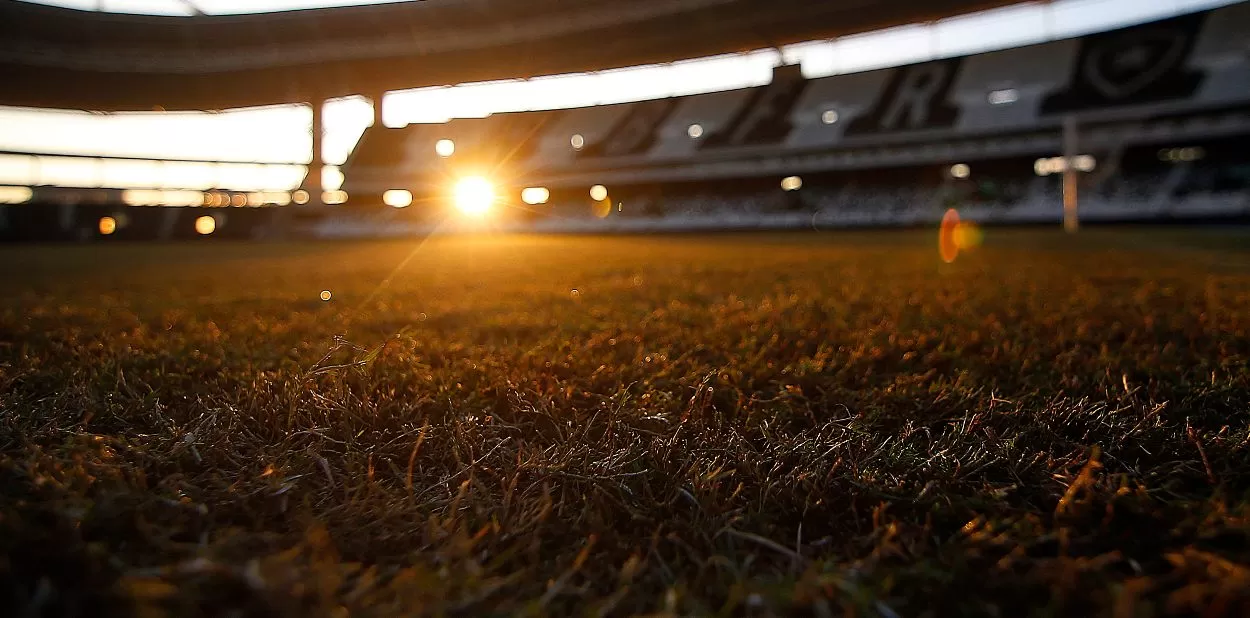 botafogo estadio nilton santos gramado